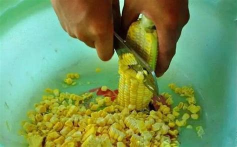 玉米怎么做饵料钓鱼技巧（玉米钓饵的制作方法）