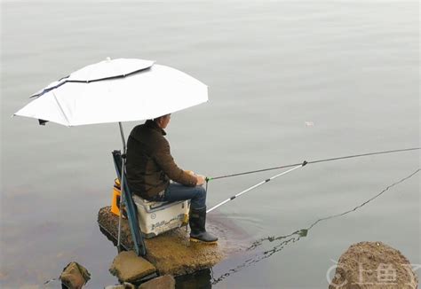 春夏雨天钓鱼技巧图解视频（夏季雨天钓鱼怎么样）